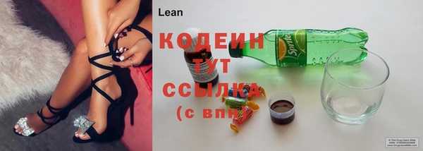 PSILOCYBIN Лиски