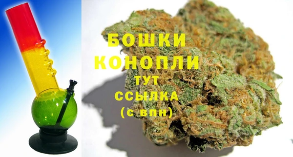 PSILOCYBIN Лиски
