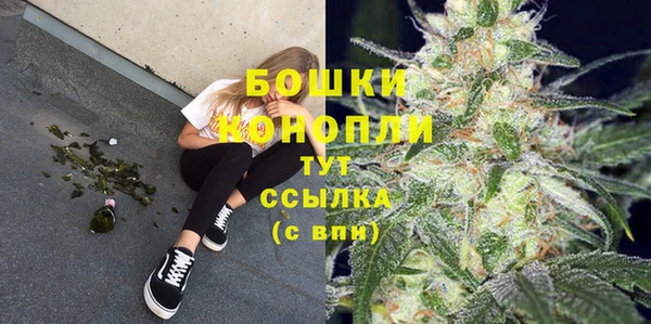 PSILOCYBIN Лиски