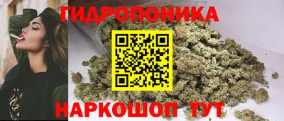 стаф Абакан