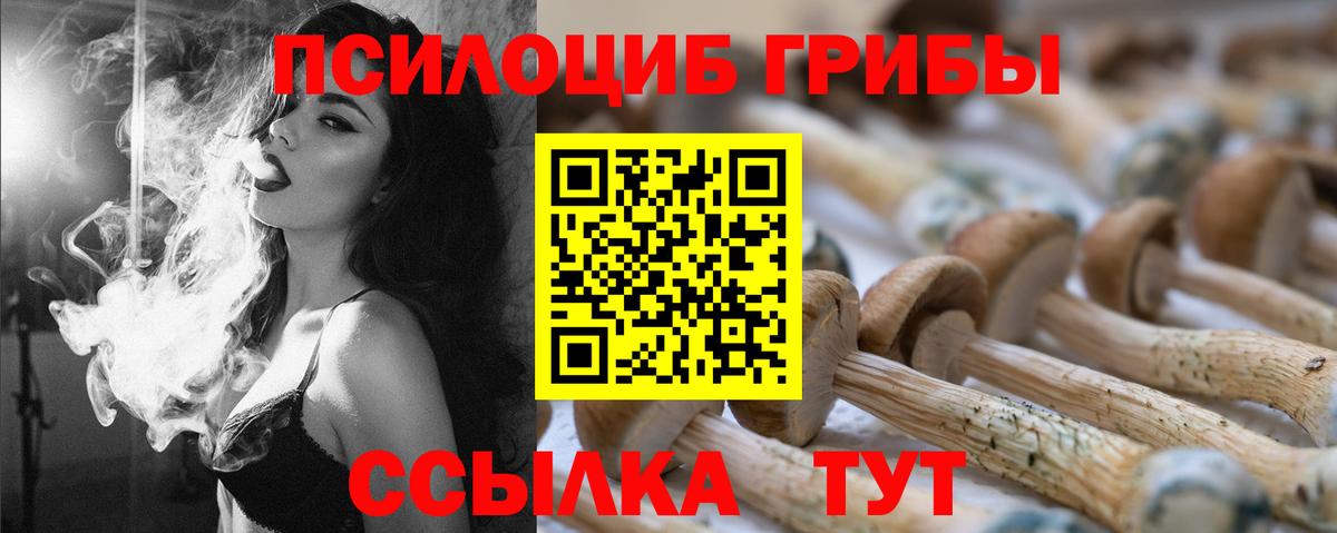 Златоуст  где найти   Вход с VPN  Псилоцибиновые грибы Magic Shrooms 